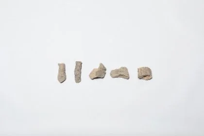 잡상 편 — 동국대 · 학술자료 383