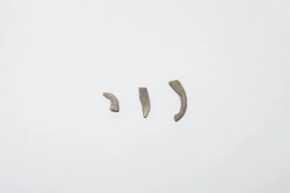 잡상 편 — 동국대 · 학술자료 381